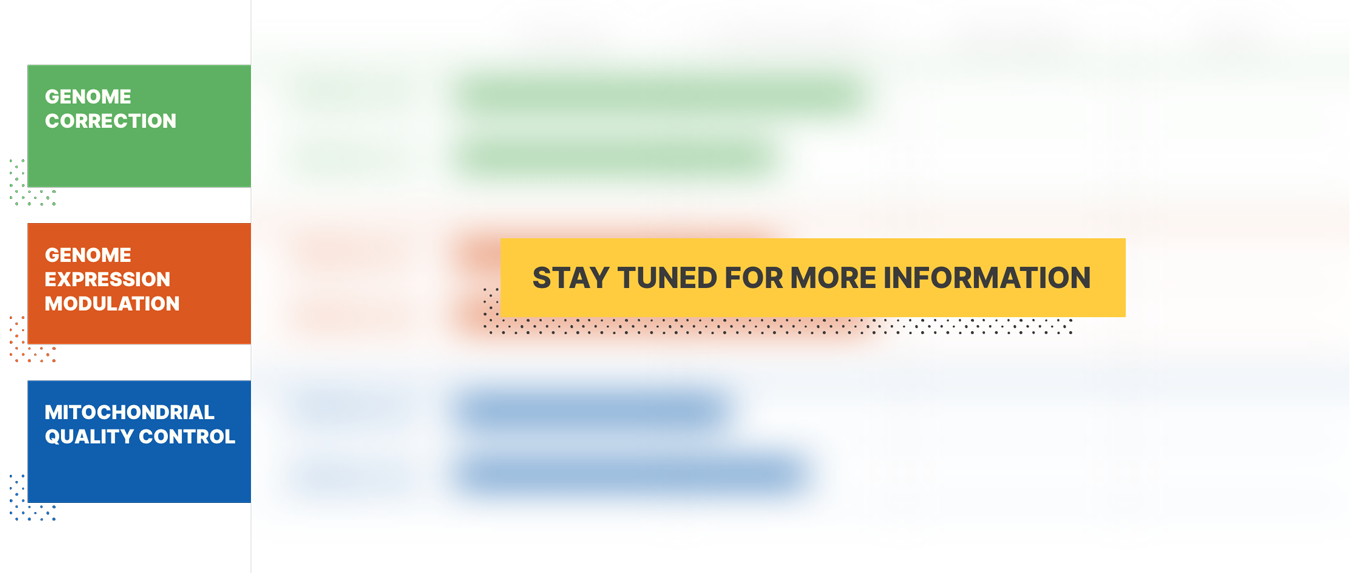 Pretzel Website Pipeline